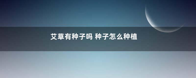 艾草有种子吗 种子怎么种植
